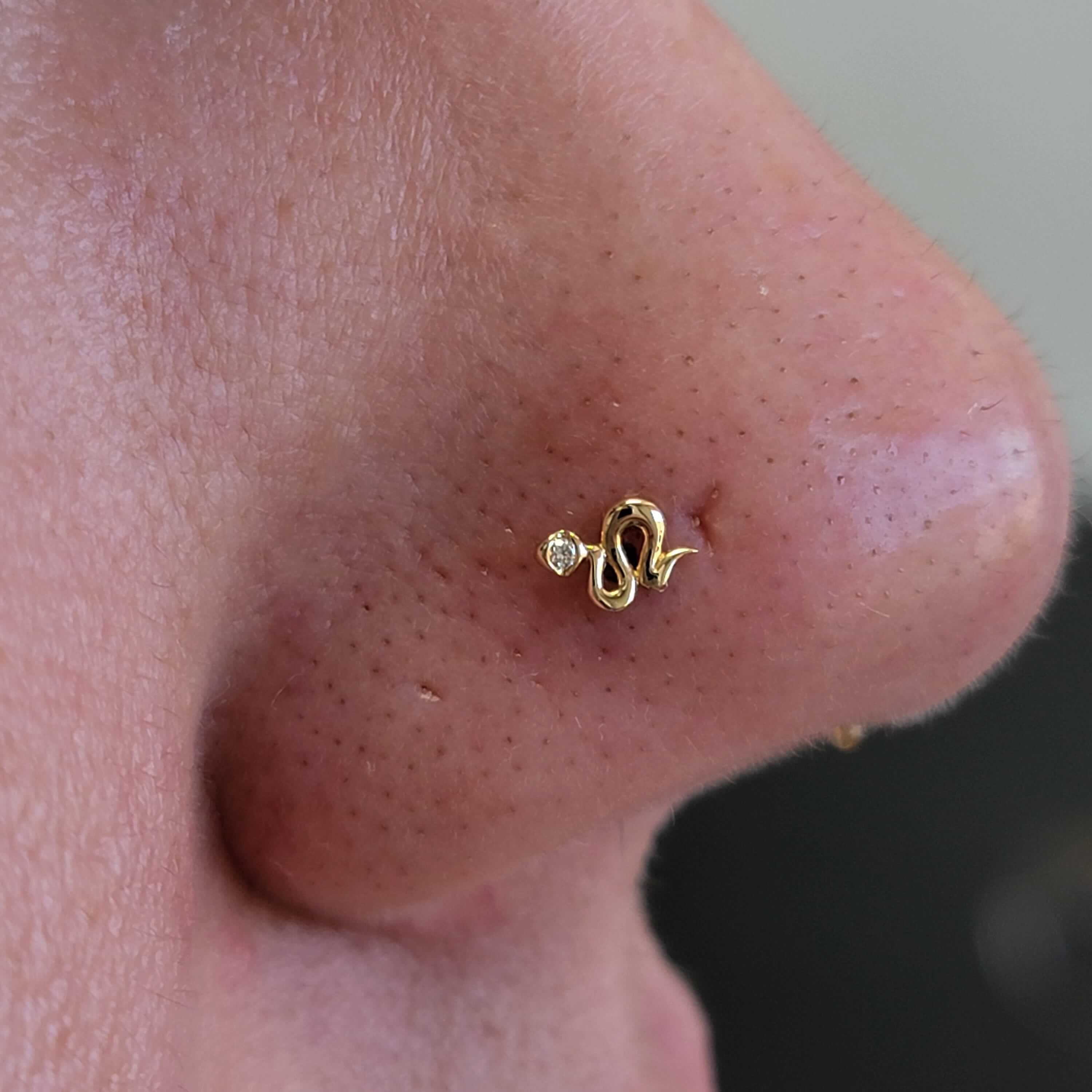 Nostril piercing with a 14k gold snake and genuine diamond