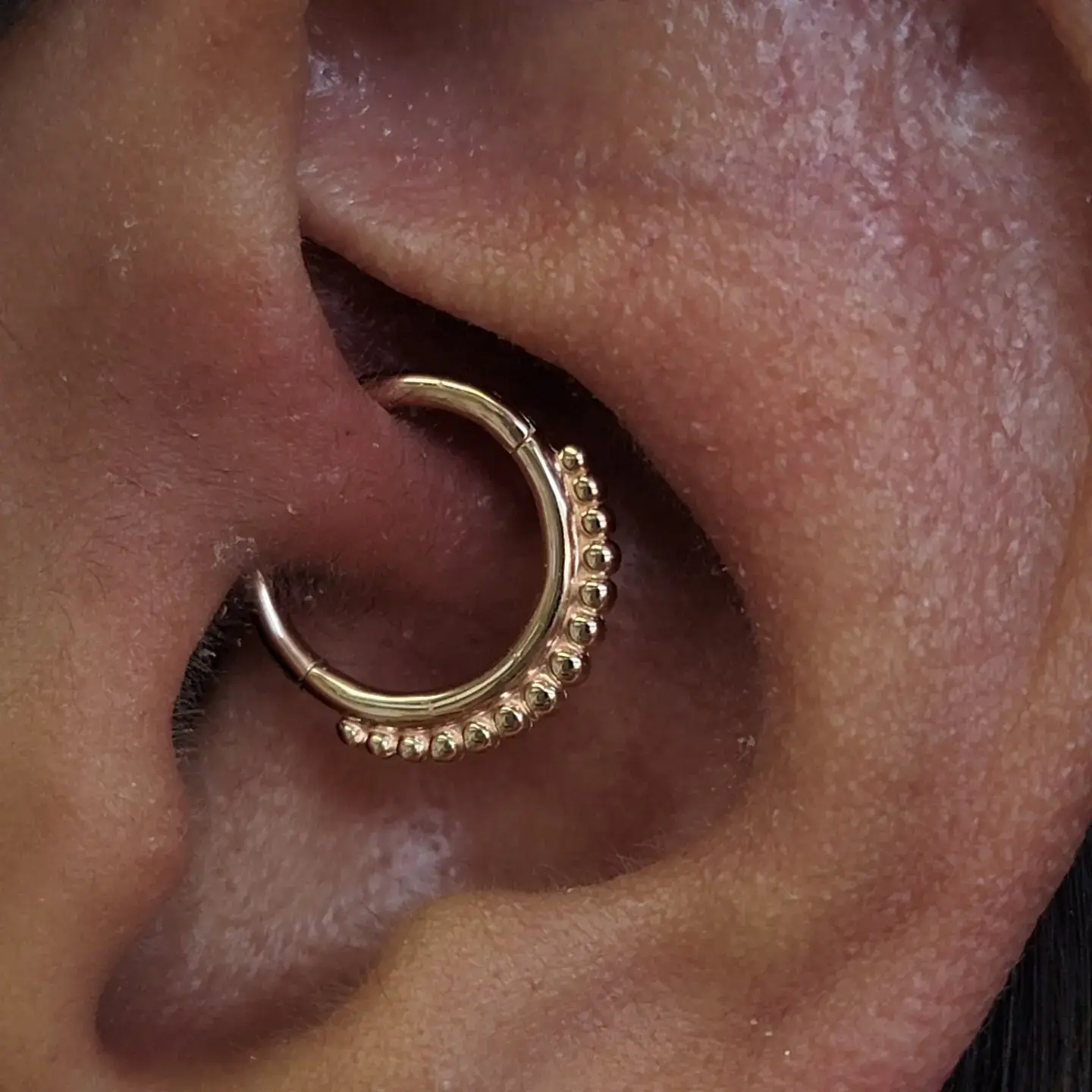 Daith piercing done with solid 14k yellow gold