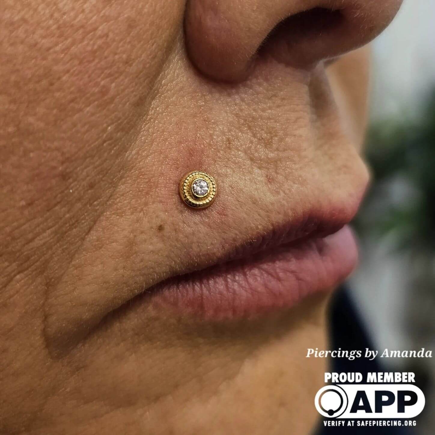 Healed Monroe piercing with 18k yellow gold