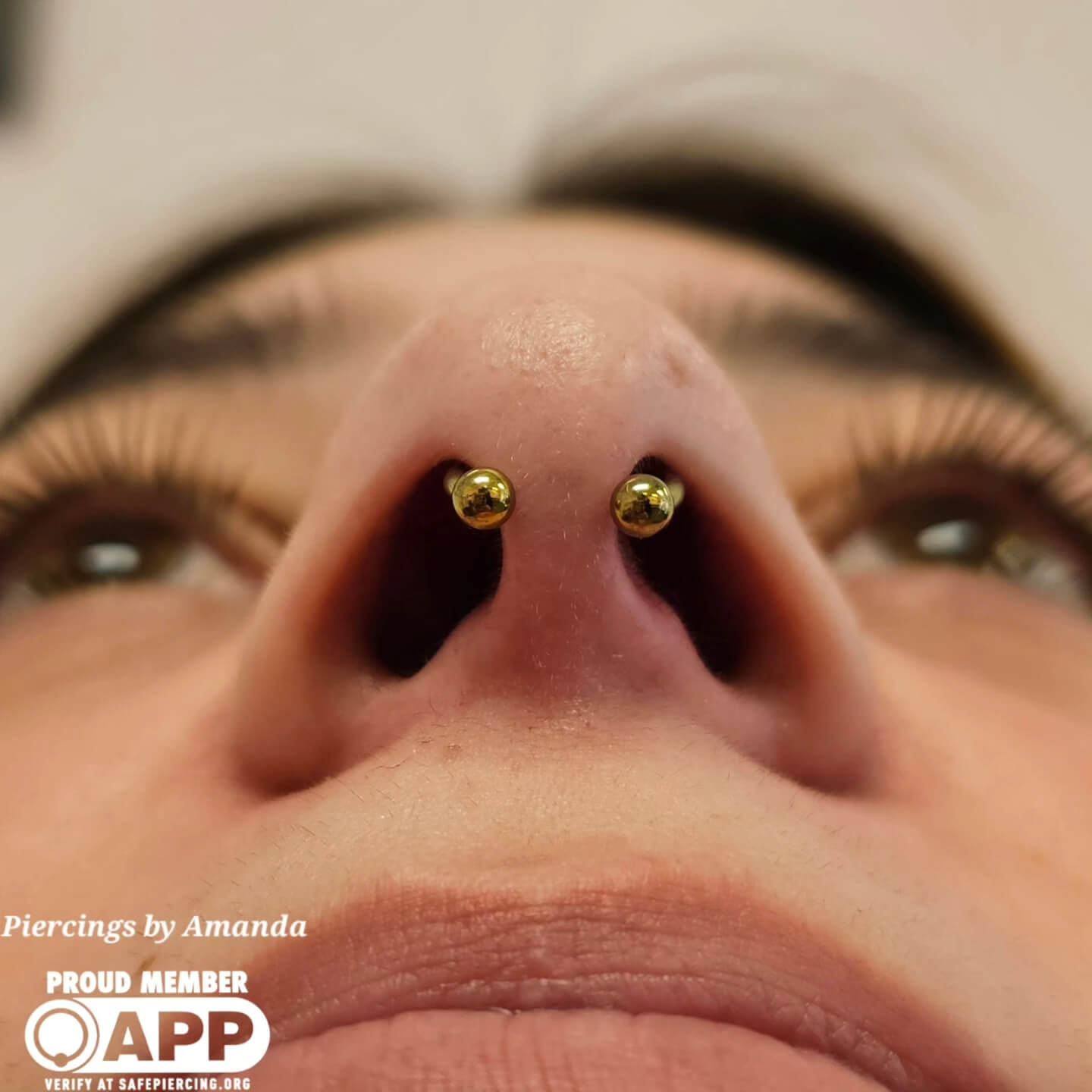 Fresh Septum piercing Amanda did with implant grade titanium