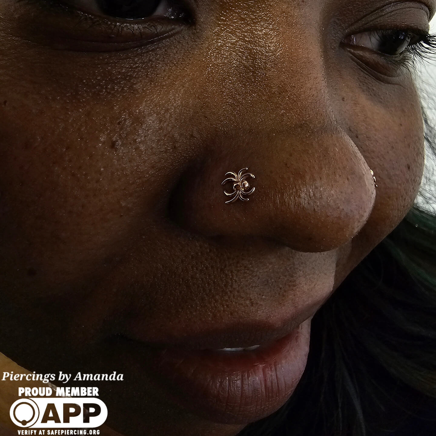 One healed and one fresh nostril piercings with gold spider
